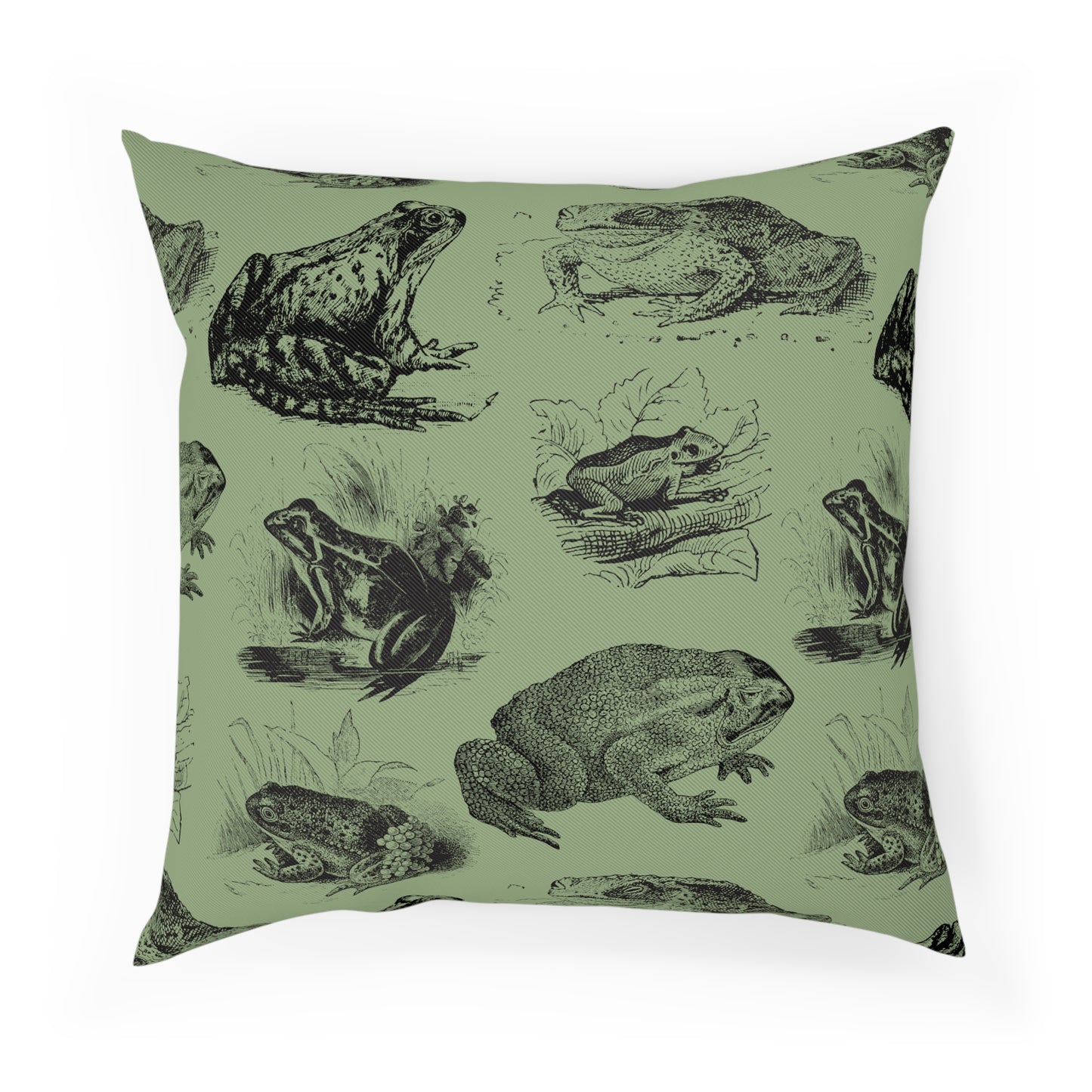 Frog Illustration Vintage Aesthetic Green Cushion