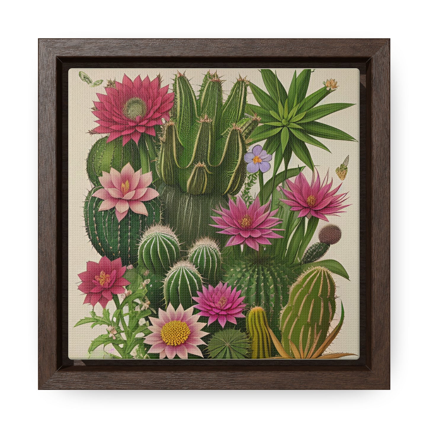 Vintage Botanical Cactus Square Framed Canvas Print