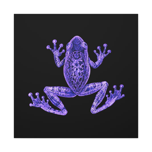 Eclectic Maximalist Purple Frog Canvas Print Wall Art Square Gallery Wrapped