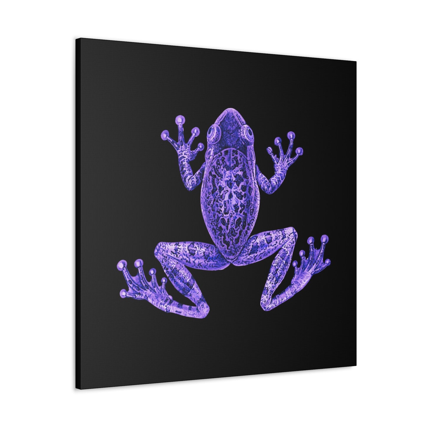 Purple Eclectic Frog Canvas Print