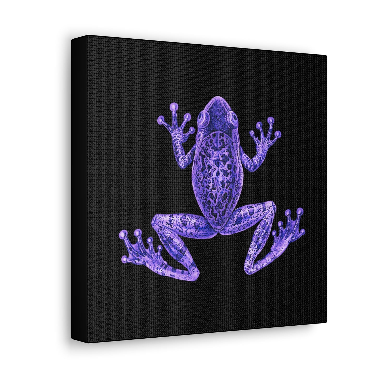 Purple Eclectic Frog Canvas Print