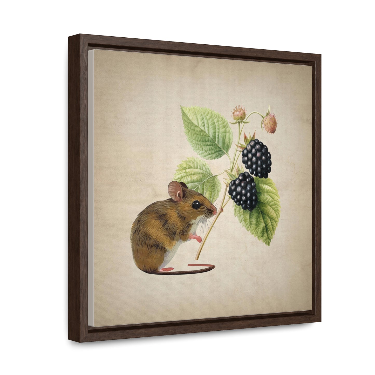 Mouse and Blackberry Square Framed Canvas Print