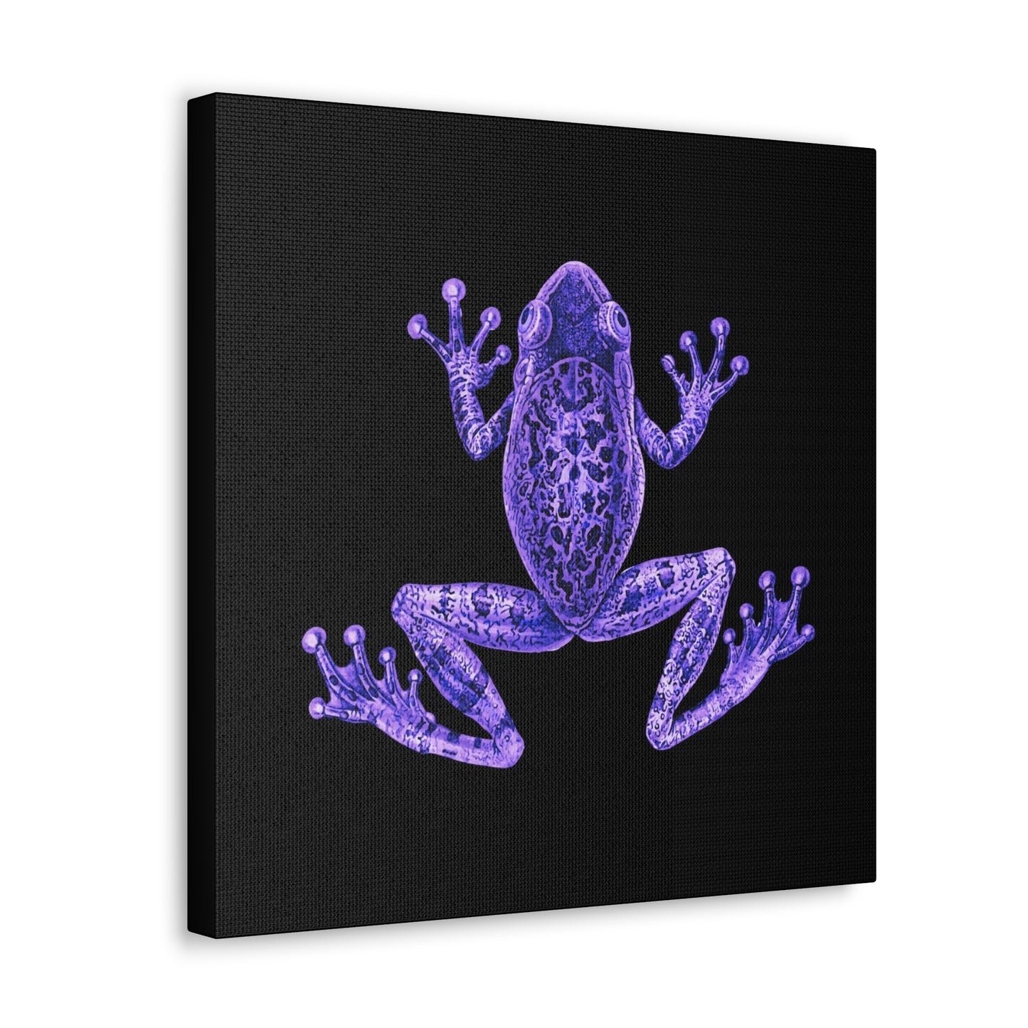 Eclectic Maximalist Purple Frog Canvas Print Wall Art Square Gallery Wrapped