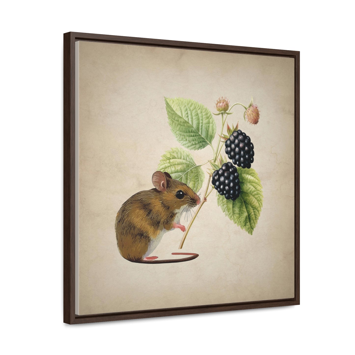 Mouse and Blackberry Square Framed Canvas Print