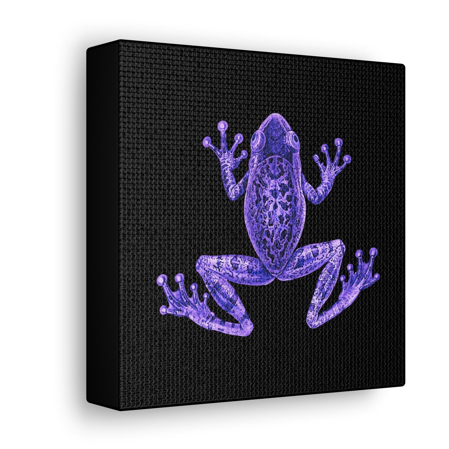 Purple Eclectic Frog Canvas Print