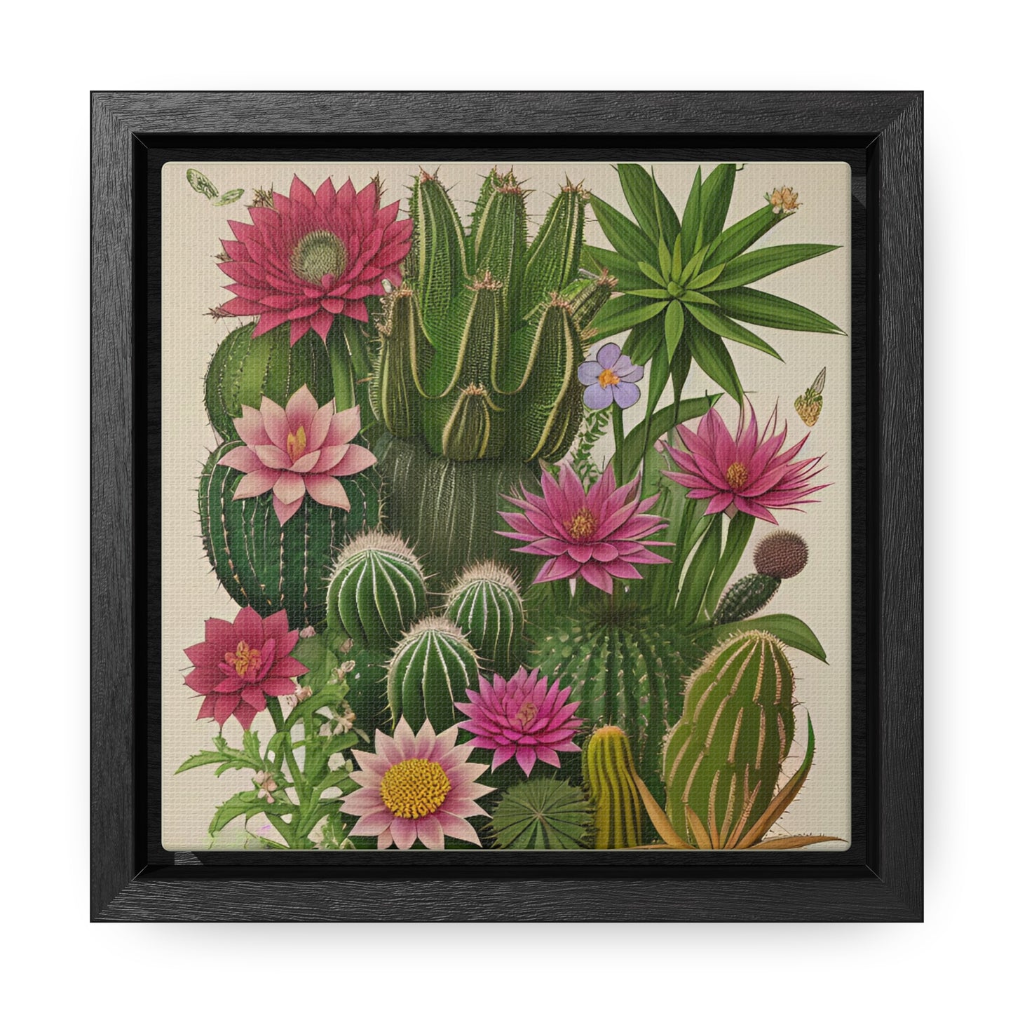 Vintage Botanical Cactus Square Framed Canvas Print