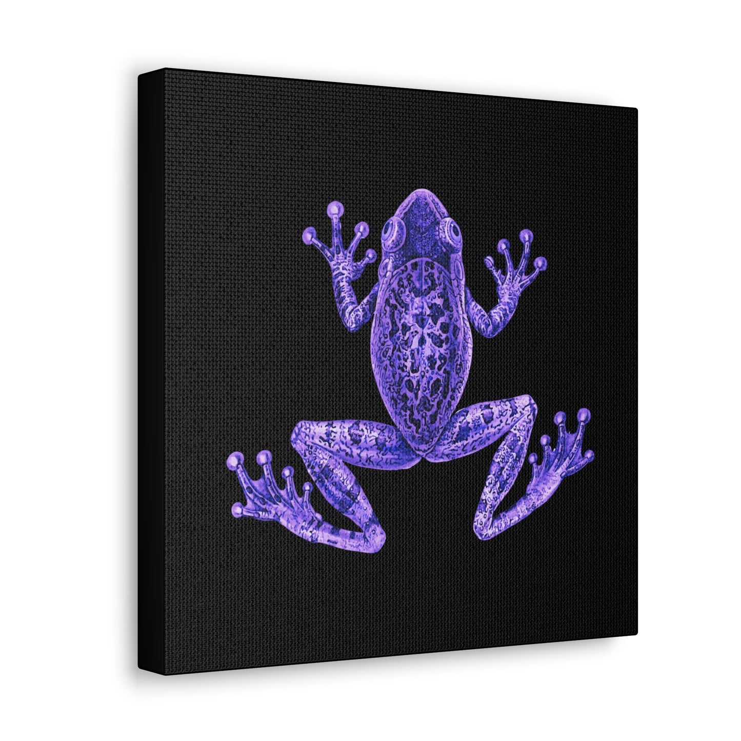 Purple Eclectic Frog Canvas Print