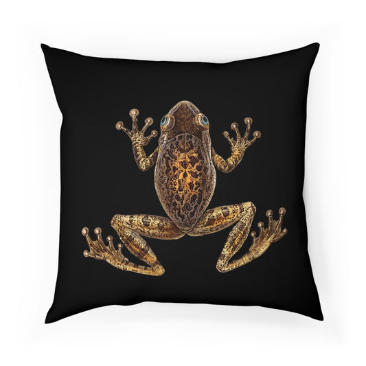 Vintage Maximalist Frog Illustration Cushion 100% Cotton Throw Pillow Cover