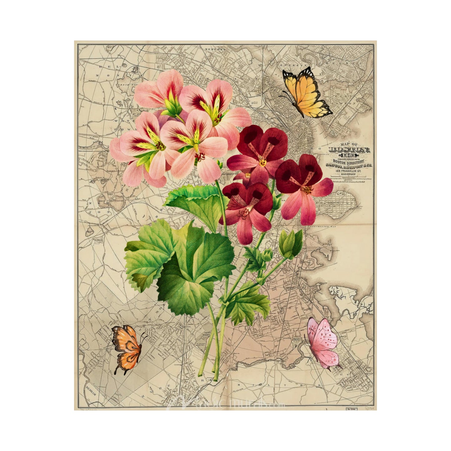 Geraniums and Vintage Boston Map Matte Poster
