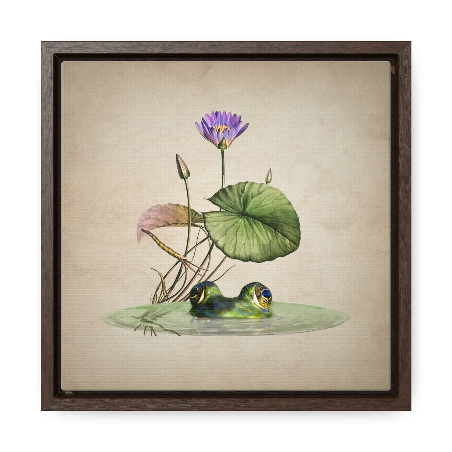 Frog and Water Lily Square Framed Canvas Print