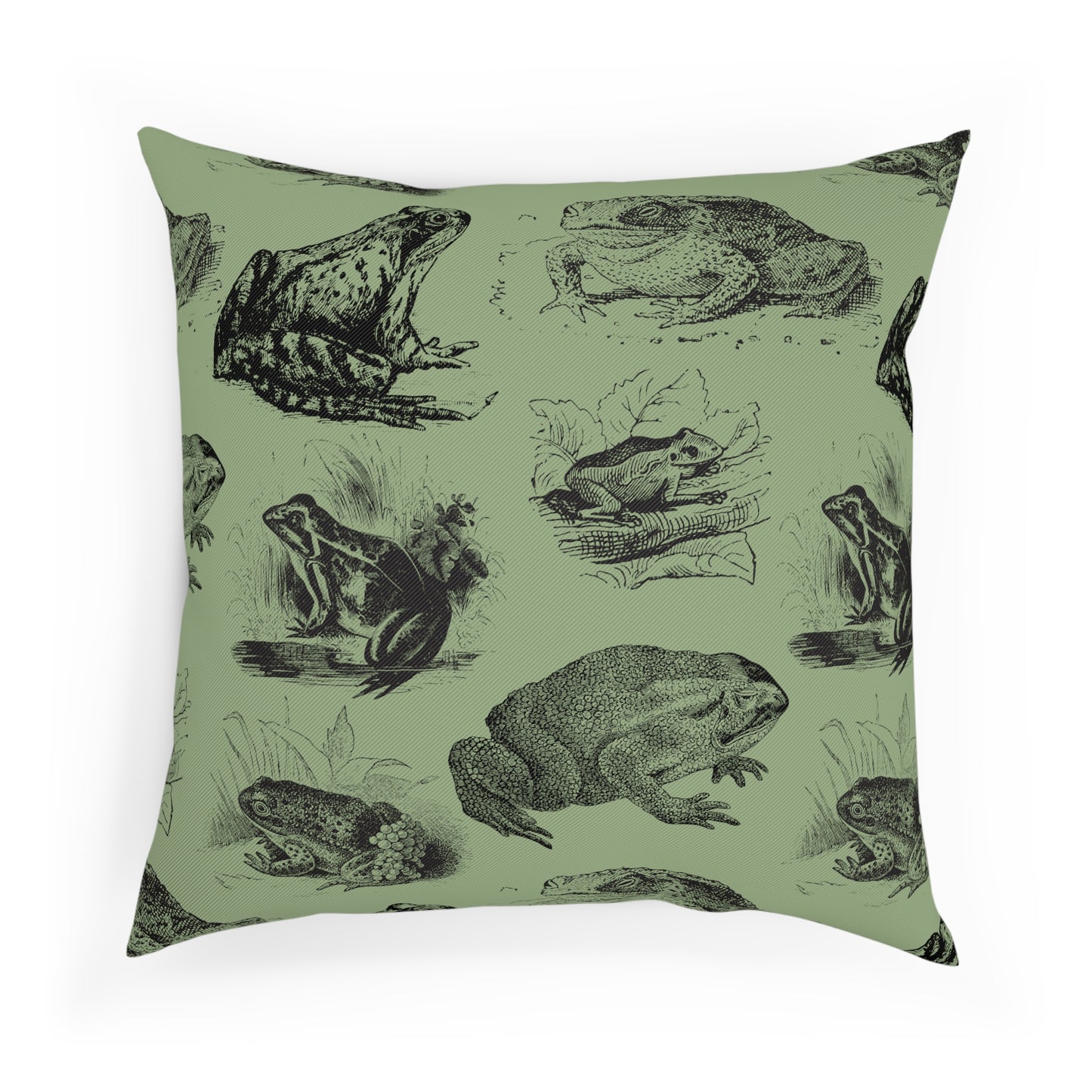 Frog Illustration Vintage Aesthetic Green Cushion