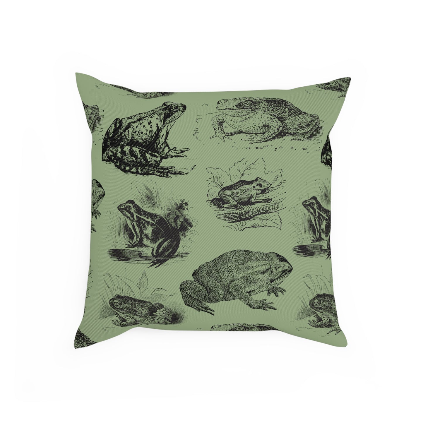 Frog Illustration Vintage Aesthetic Green Cushion