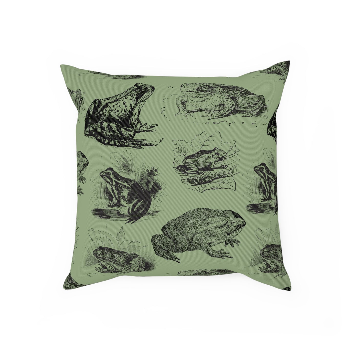 Frog Illustration Vintage Aesthetic Green Cushion