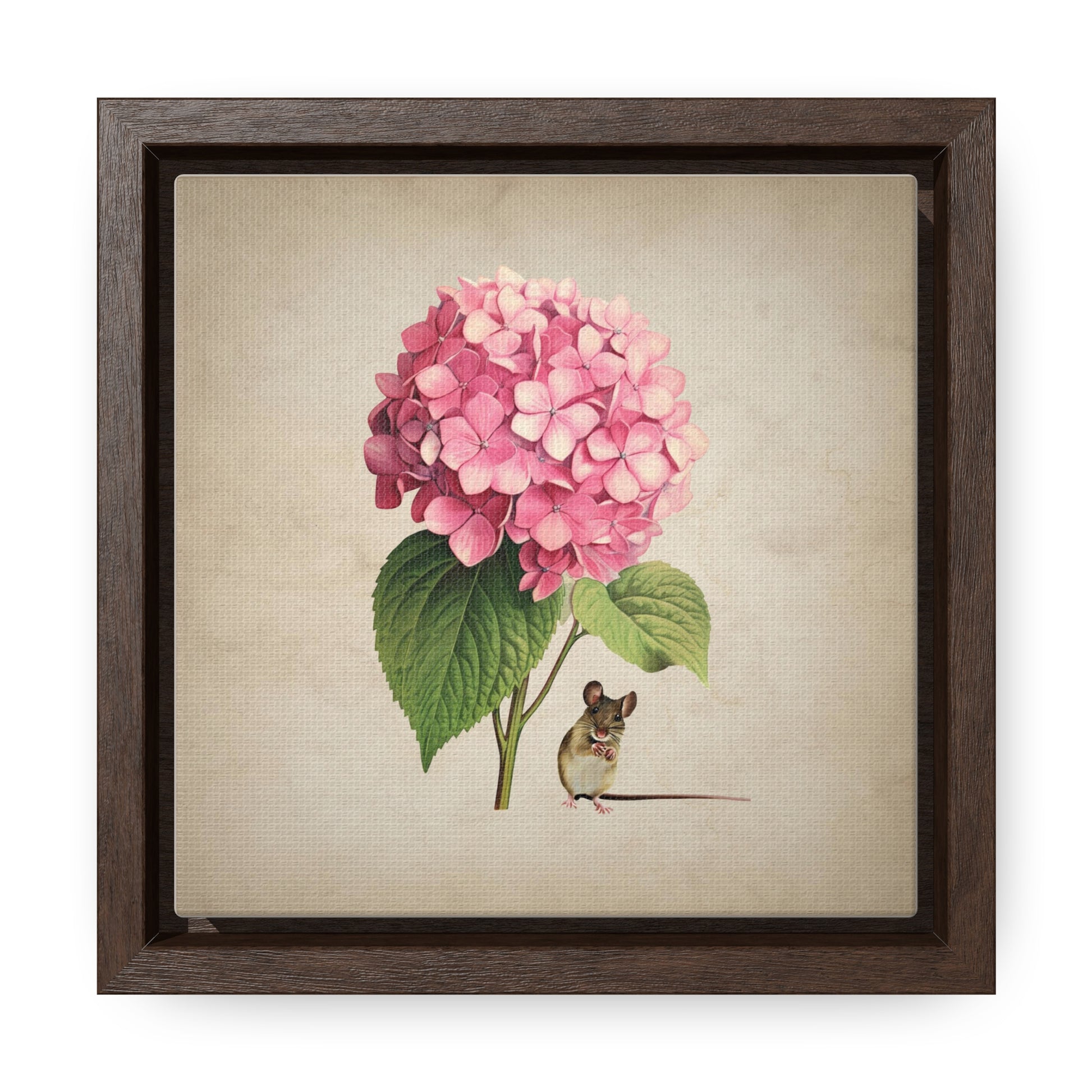 Pink Hydrangea Mouse Vintage Botanical Canvas Print Wall Art Square Framed Gallery Wrapped