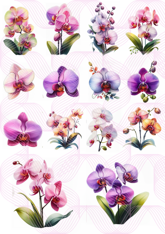 Downloadable Orchids Floral Illustrations Botanical Flowers Collage Decoupage Cutouts Printable A4 Sheet Creative Scrapbooking Art Journaling Digital Download