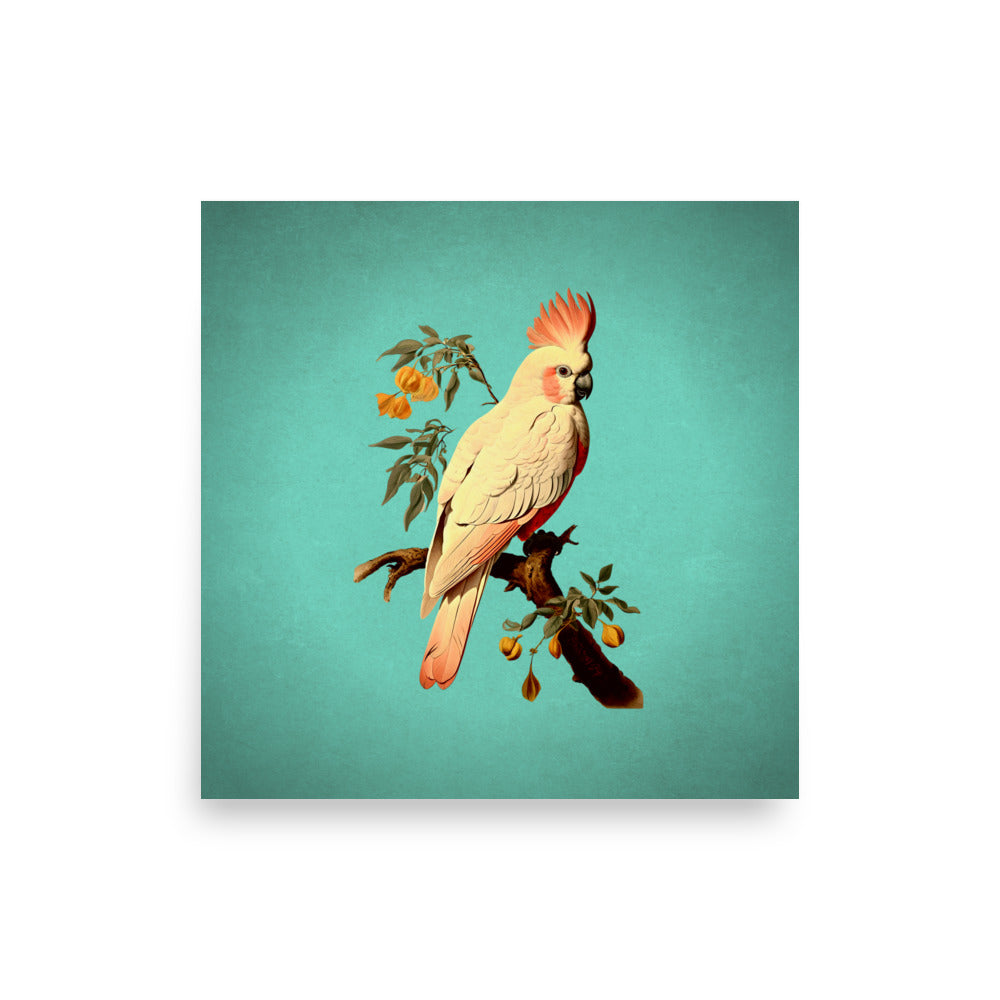 Turquoise Cockatoo Art Poster