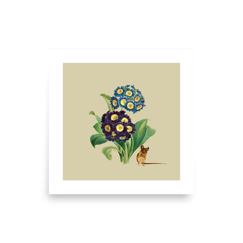 Primula and Mouse Art Poster