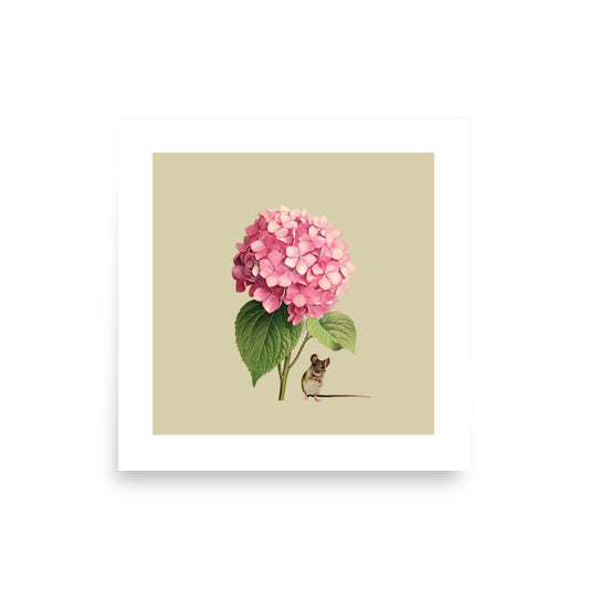 Pink Hydrangea Mouse Art Poster